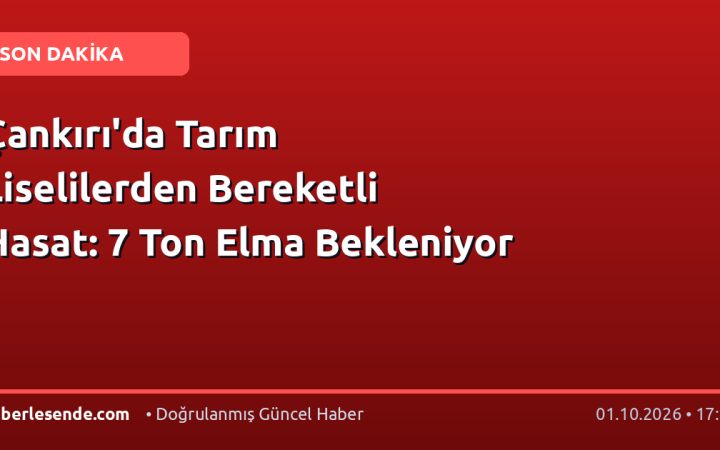 Çankırı'da Tarım Liselilerden Bereketli Hasat: 7 Ton Elma Bekleniyor