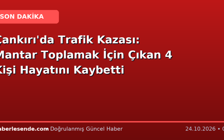 Çankırı'da Trafik Kazası: Mantar Toplamak İçin Çıkan 4 Kişi Hayatını Kaybetti