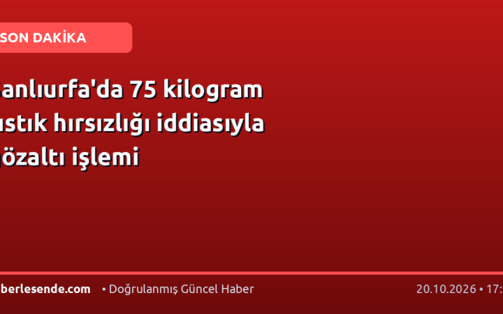 Şanlıurfa'da 75 kilogram fıstık hırsızlığı iddiasıyla gözaltı işlemi