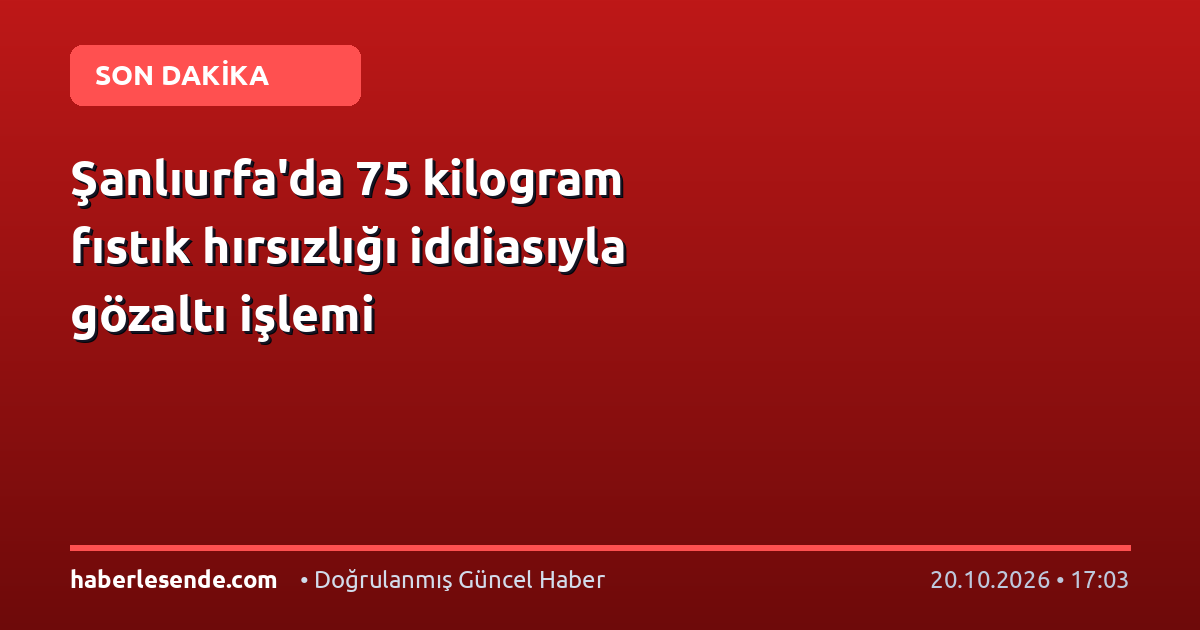 Şanlıurfa'da 75 kilogram fıstık hırsızlığı iddiasıyla gözaltı işlemi