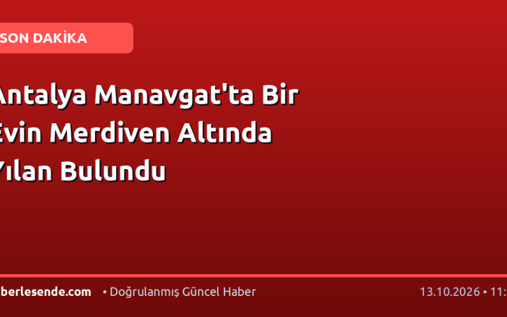 Antalya Manavgat'ta Bir Evin Merdiven Altında Yılan Bulundu