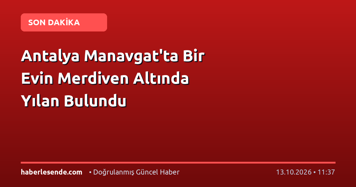 Antalya Manavgat'ta Bir Evin Merdiven Altında Yılan Bulundu