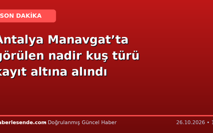 Antalya Manavgat’ta görülen nadir kuş türü kayıt altına alındı