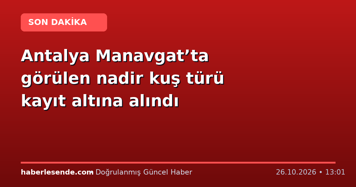 Antalya Manavgat’ta görülen nadir kuş türü kayıt altına alındı