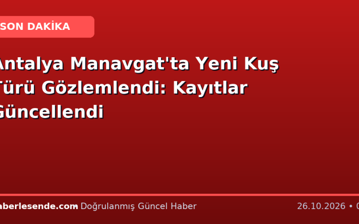 Antalya Manavgat'ta Yeni Kuş Türü Gözlemlendi: Kayıtlar Güncellendi