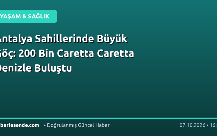 Antalya Sahillerinde Büyük Göç: 200 Bin Caretta Caretta Denizle Buluştu