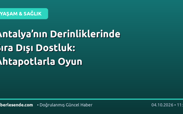Antalya’nın Derinliklerinde Sıra Dışı Dostluk: Ahtapotlarla Oyun