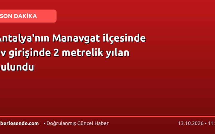 Antalya'nın Manavgat ilçesinde ev girişinde 2 metrelik yılan bulundu