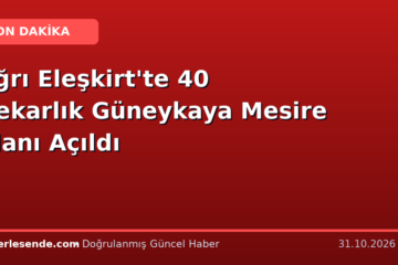 Ağrı Eleşkirt'te 40 Dekarlık Güneykaya Mesire Alanı Açıldı
