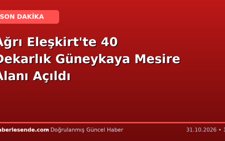 Ağrı Eleşkirt'te 40 Dekarlık Güneykaya Mesire Alanı Açıldı