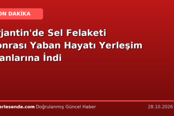 Arjantin'de Sel Felaketi Sonrası Yaban Hayatı Yerleşim Alanlarına İndi