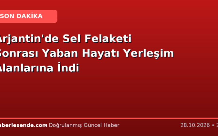 Arjantin'de Sel Felaketi Sonrası Yaban Hayatı Yerleşim Alanlarına İndi