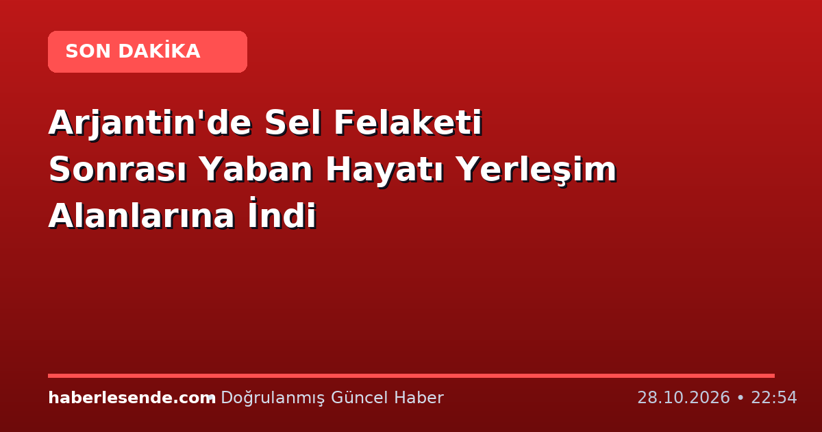 Arjantin'de Sel Felaketi Sonrası Yaban Hayatı Yerleşim Alanlarına İndi