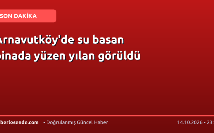 Arnavutköy'de su basan binada yüzen yılan görüldü