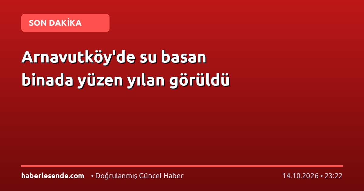 Arnavutköy'de su basan binada yüzen yılan görüldü
