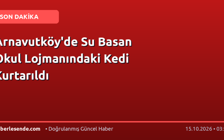 Arnavutköy'de Su Basan Okul Lojmanındaki Kedi Kurtarıldı
