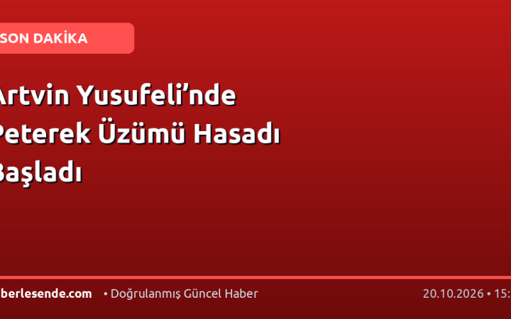 Artvin Yusufeli’nde Peterek Üzümü Hasadı Başladı