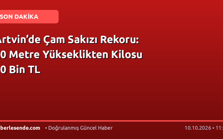 Artvin’de Çam Sakızı Rekoru: 20 Metre Yükseklikten Kilosu 10 Bin TL