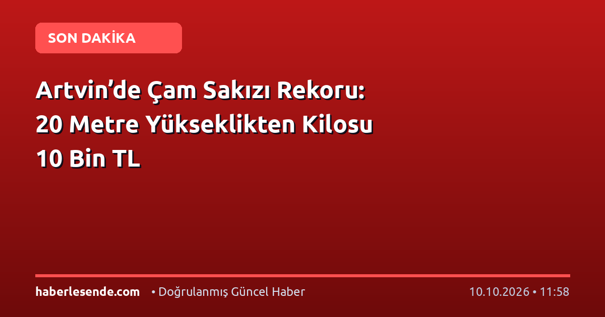 Artvin’de Çam Sakızı Rekoru: 20 Metre Yükseklikten Kilosu 10 Bin TL