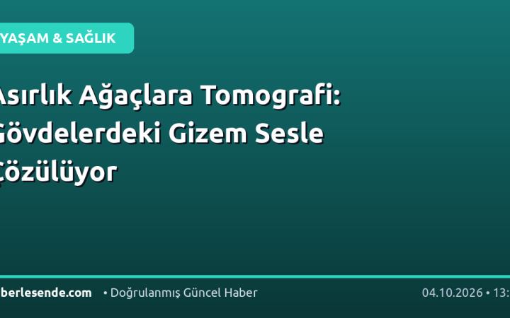 Asırlık Ağaçlara Tomografi: Gövdelerdeki Gizem Sesle Çözülüyor