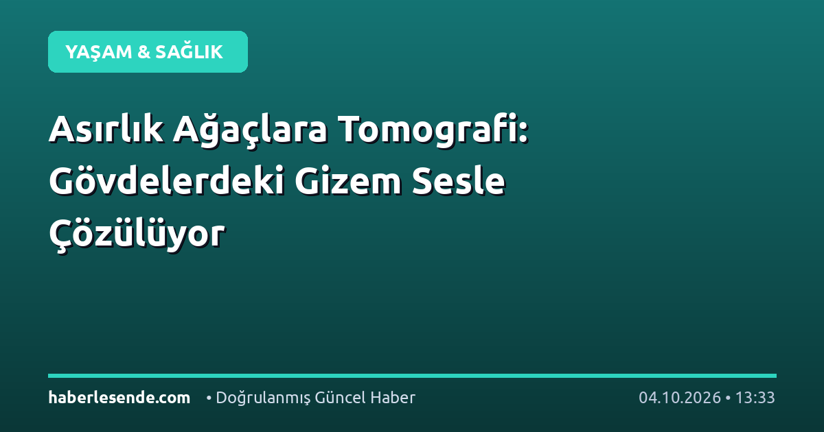 Asırlık Ağaçlara Tomografi: Gövdelerdeki Gizem Sesle Çözülüyor