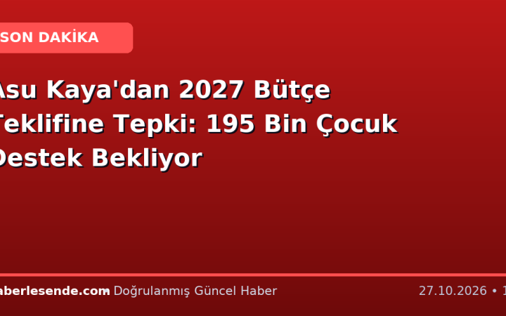 Asu Kaya'dan 2027 Bütçe Teklifine Tepki: 195 Bin Çocuk Destek Bekliyor