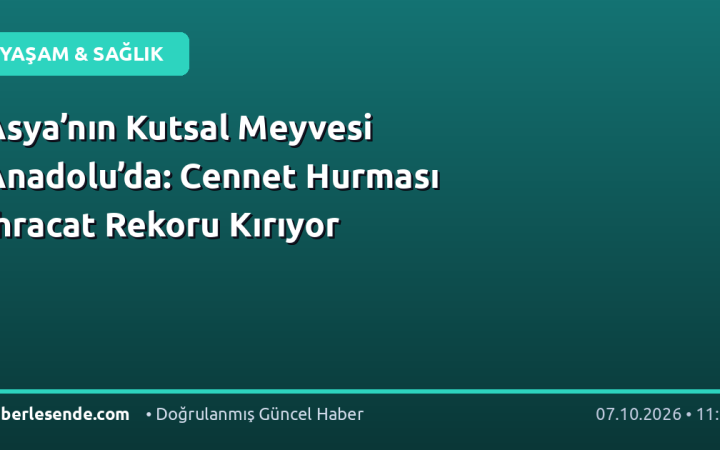 Asya’nın Kutsal Meyvesi Anadolu’da: Cennet Hurması İhracat Rekoru Kırıyor