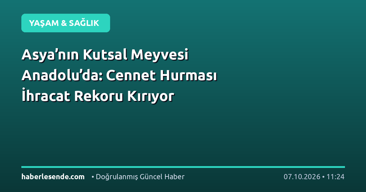 Asya’nın Kutsal Meyvesi Anadolu’da: Cennet Hurması İhracat Rekoru Kırıyor