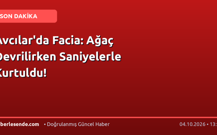 Avcılar'da Facia: Ağaç Devrilirken Saniyelerle Kurtuldu!