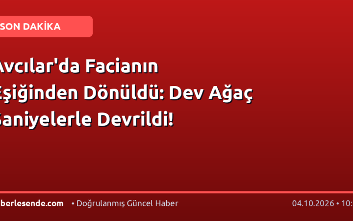 Avcılar'da Facianın Eşiğinden Dönüldü: Dev Ağaç Saniyelerle Devrildi!