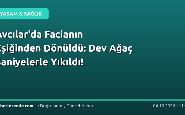 Avcılar'da Facianın Eşiğinden Dönüldü: Dev Ağaç Saniyelerle Yıkıldı!