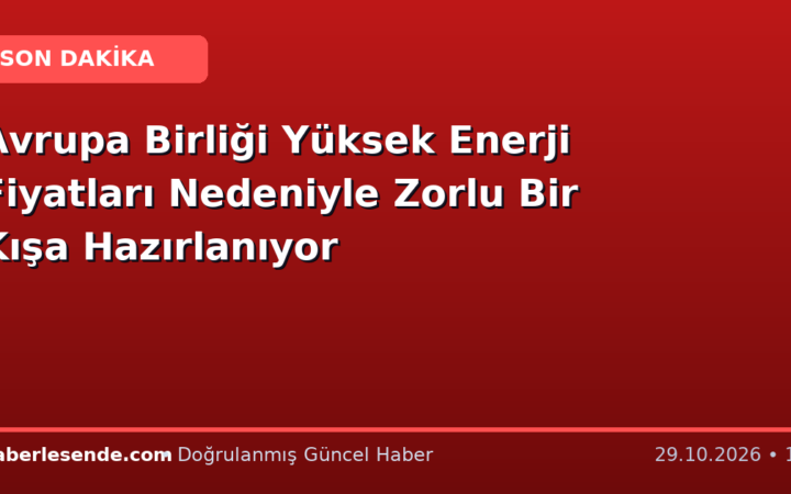 Avrupa Birliği Yüksek Enerji Fiyatları Nedeniyle Zorlu Bir Kışa Hazırlanıyor