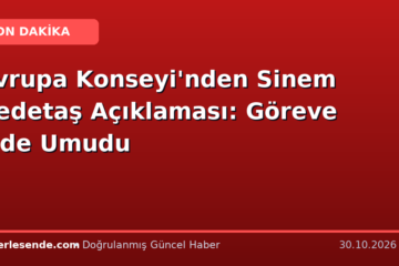Avrupa Konseyi'nden Sinem Dedetaş Açıklaması: Göreve İade Umudu