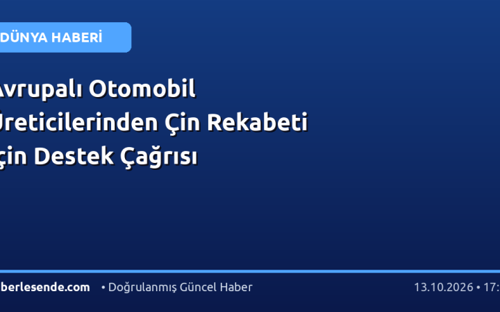 Avrupalı Otomobil Üreticilerinden Çin Rekabeti İçin Destek Çağrısı