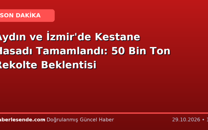 Aydın ve İzmir'de Kestane Hasadı Tamamlandı: 50 Bin Ton Rekolte Beklentisi