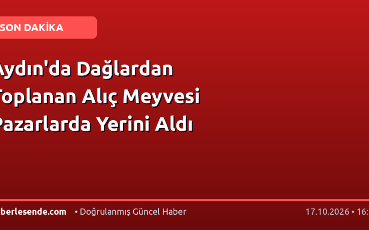 Aydın'da Dağlardan Toplanan Alıç Meyvesi Pazarlarda Yerini Aldı