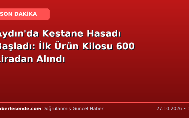 Aydın'da Kestane Hasadı Başladı: İlk Ürün Kilosu 600 Liradan Alındı