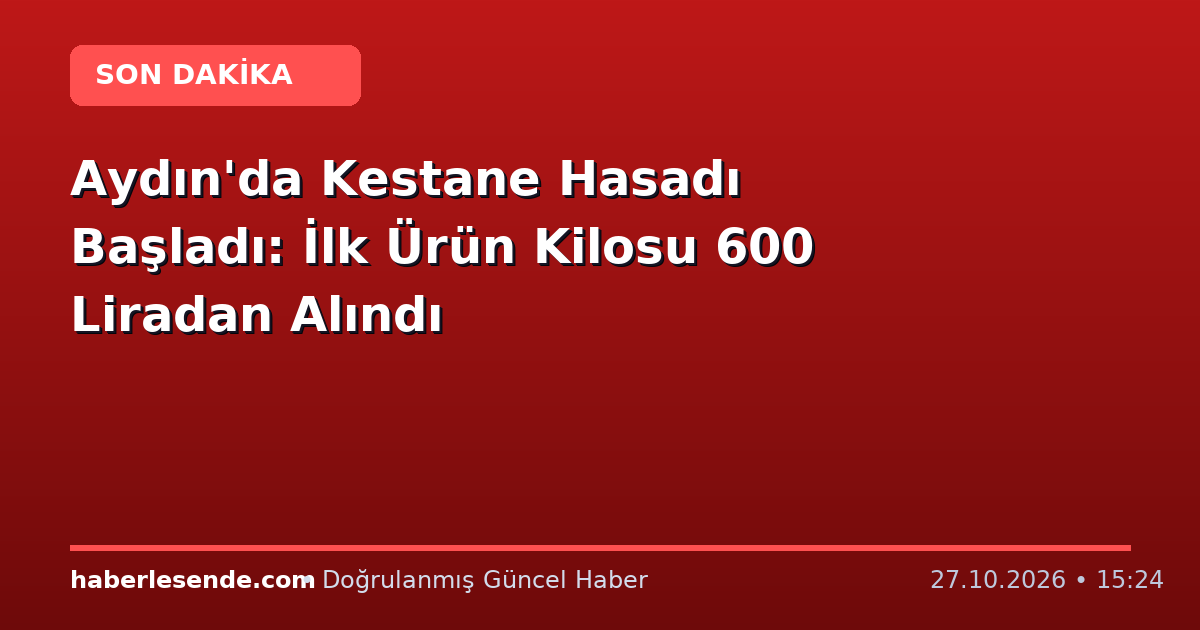 Aydın'da Kestane Hasadı Başladı: İlk Ürün Kilosu 600 Liradan Alındı