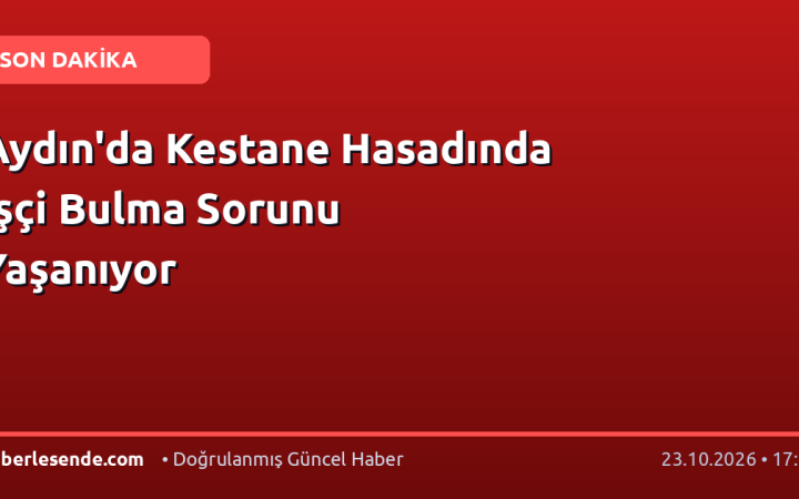 Aydın'da Kestane Hasadında İşçi Bulma Sorunu Yaşanıyor