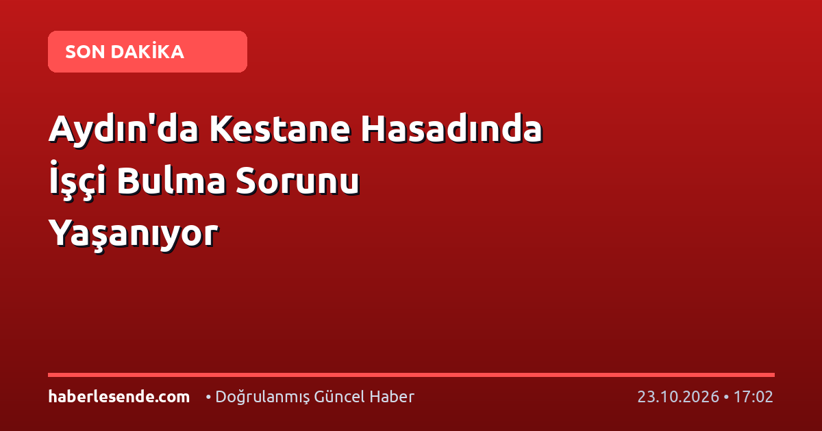 Aydın'da Kestane Hasadında İşçi Bulma Sorunu Yaşanıyor