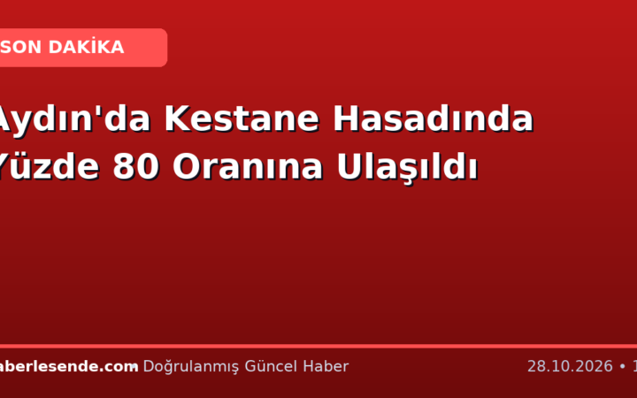 Aydın'da Kestane Hasadında Yüzde 80 Oranına Ulaşıldı