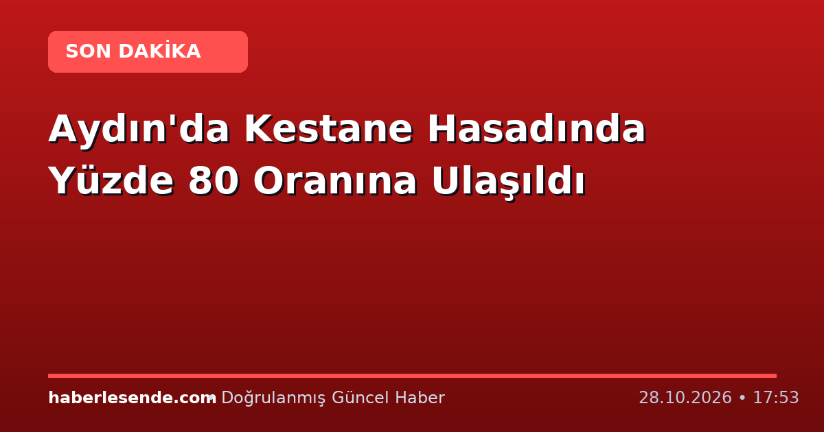 Aydın'da Kestane Hasadında Yüzde 80 Oranına Ulaşıldı