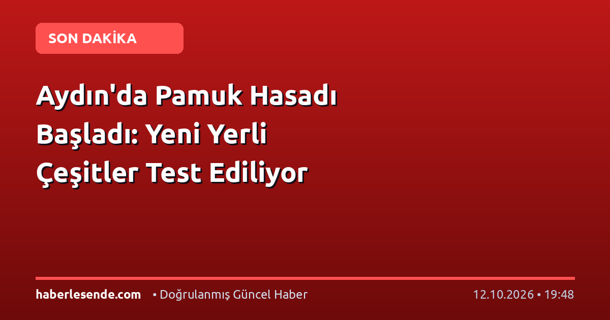 Aydın'da Pamuk Hasadı Başladı: Yeni Yerli Çeşitler Test Ediliyor