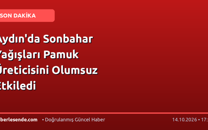 Aydın'da Sonbahar Yağışları Pamuk Üreticisini Olumsuz Etkiledi