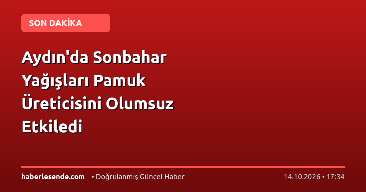 Aydın'da Sonbahar Yağışları Pamuk Üreticisini Olumsuz Etkiledi