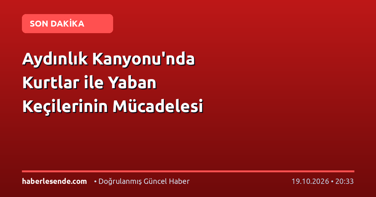 Aydınlık Kanyonu'nda Kurtlar ile Yaban Keçilerinin Mücadelesi