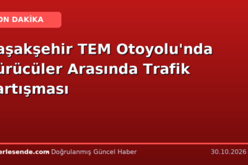 Başakşehir TEM Otoyolu'nda Sürücüler Arasında Trafik Tartışması