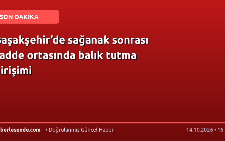 Başakşehir’de sağanak sonrası cadde ortasında balık tutma girişimi
