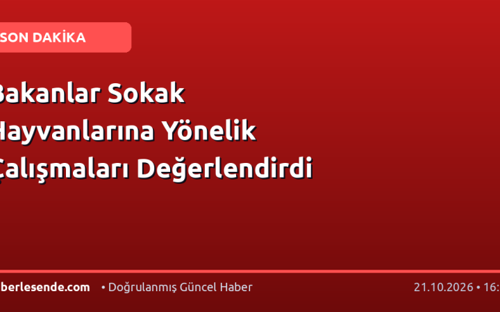 Bakanlar Sokak Hayvanlarına Yönelik Çalışmaları Değerlendirdi