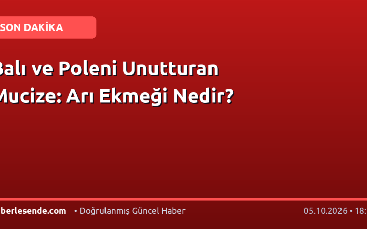 Balı ve Poleni Unutturan Mucize: Arı Ekmeği Nedir?
